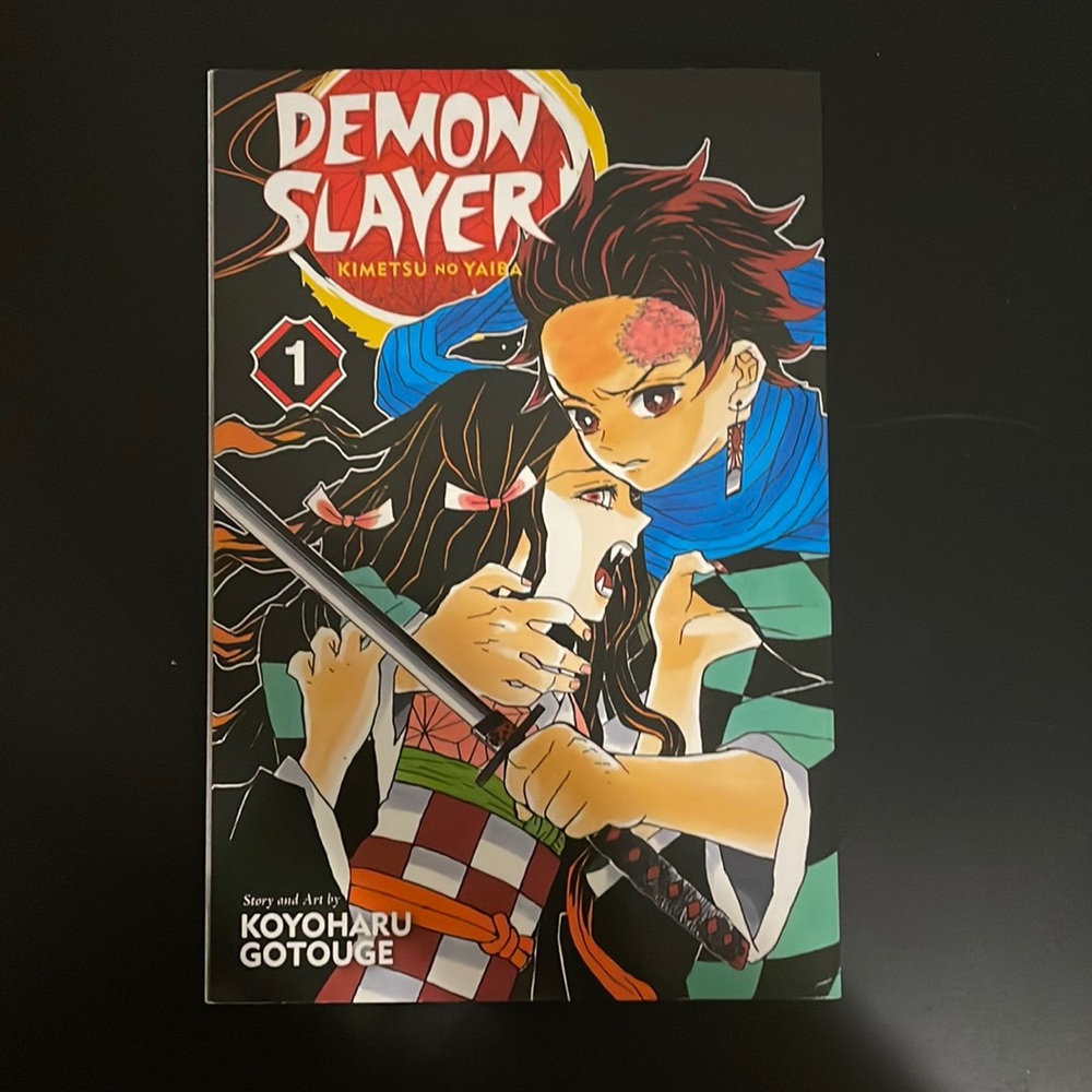 Demon Slayer Anime Manga Volume 1 (I)